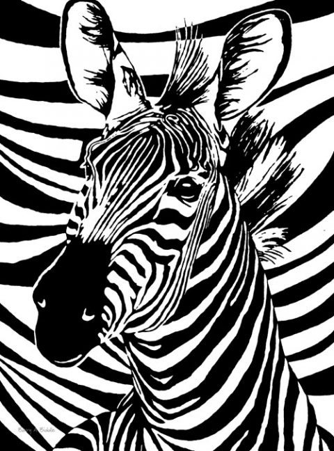 Stripes Racing Zebra Art Print | Serigraphix 3.0